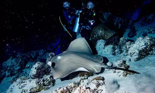 Nightlife in Andaman and Nicobar Islands: What to Expect After Sunset