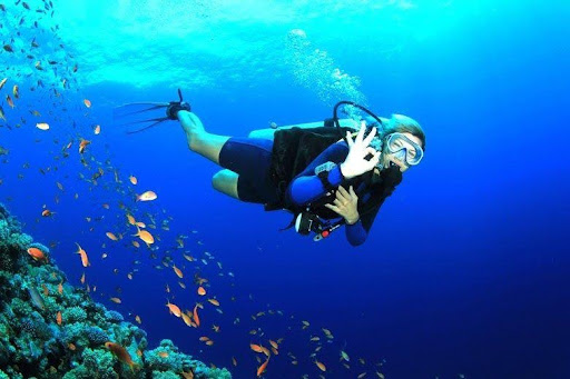 Scuba Diving in Andaman Islands – Complete Guide for an Unforgettable Underwater Adventure