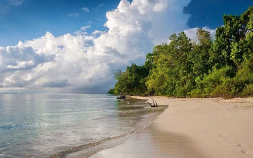 Top Places to Stay in Andaman Nicobar Islands: Best Areas & Accommodation Guide
